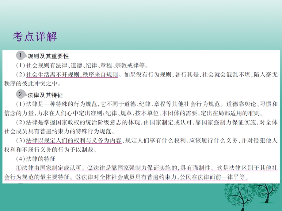 中考政治第二单元法律与秩序考点13规则与法律复习课件.pptx_第2页