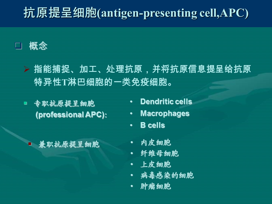 11抗原提呈细胞与抗原的处理及提呈.ppt_第1页