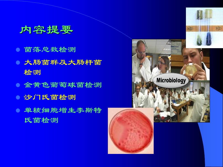 食品微生物检验方法.ppt_第2页