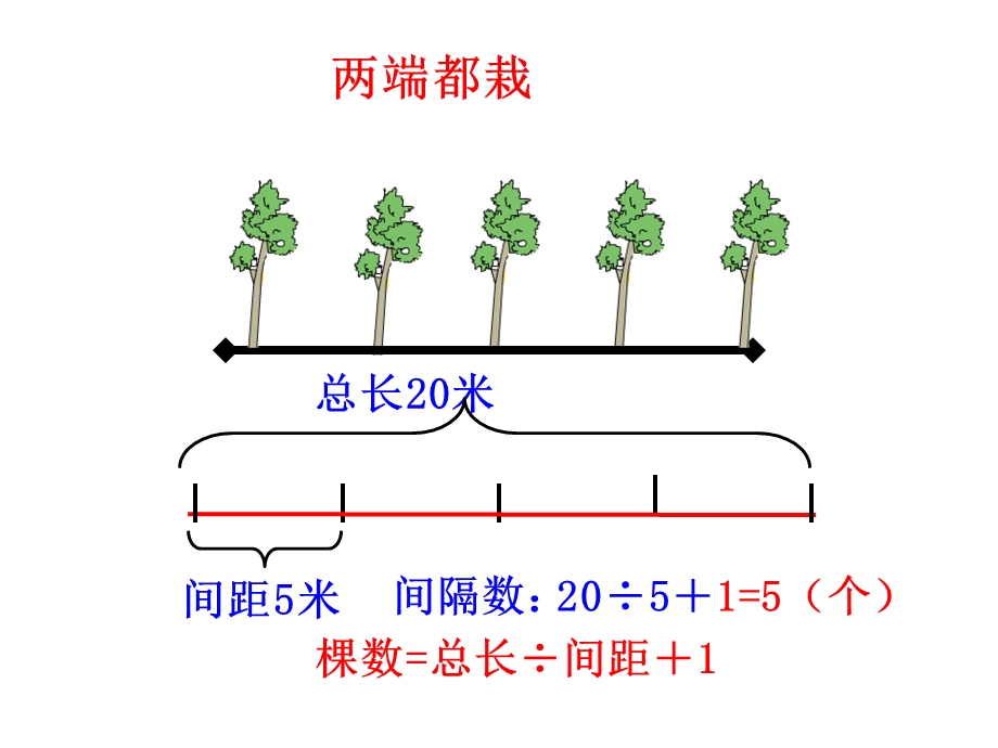 课题植树问题.ppt_第3页