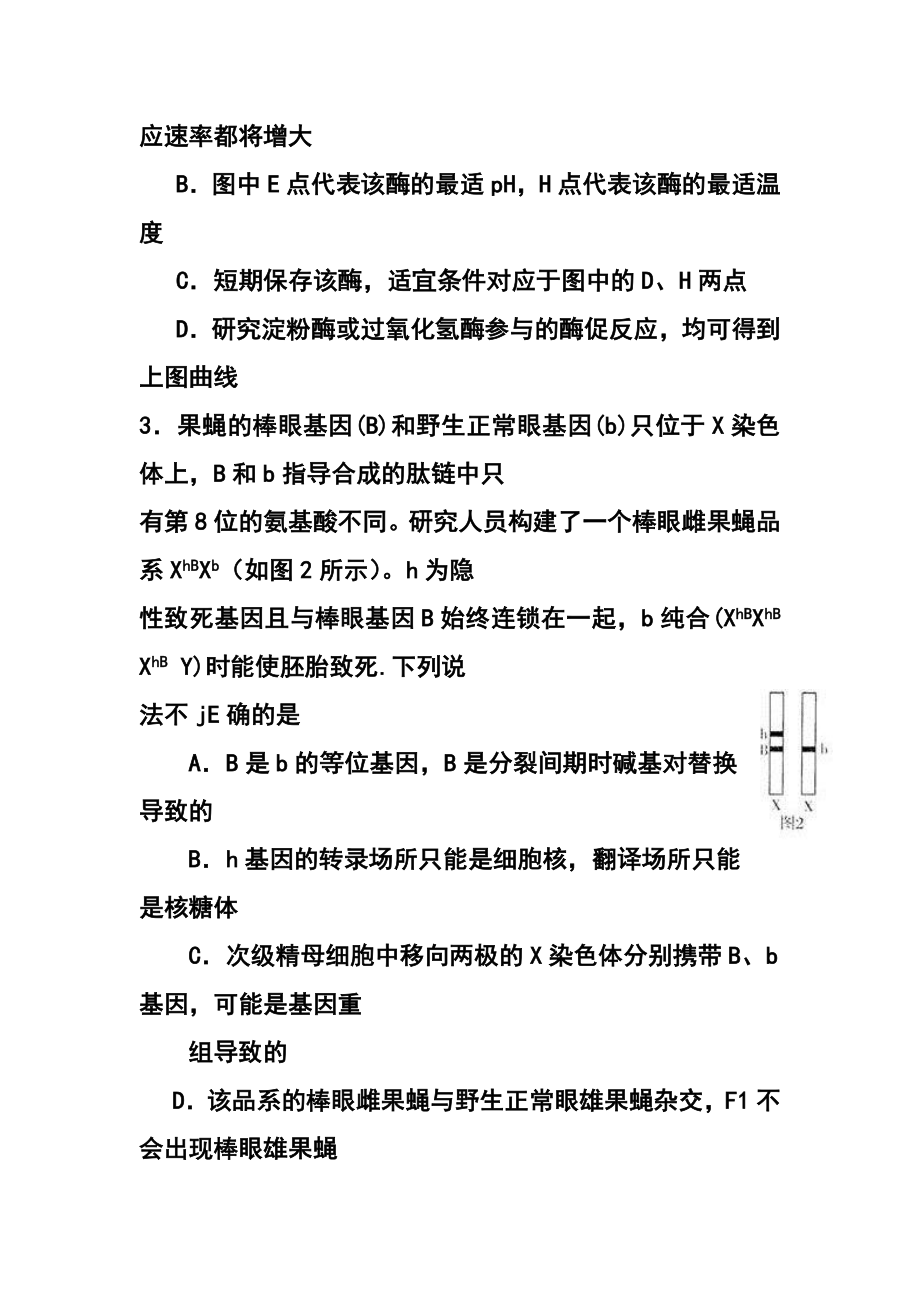 安徽省淮北市高三第二次模拟考试生物试卷及答案.doc_第2页