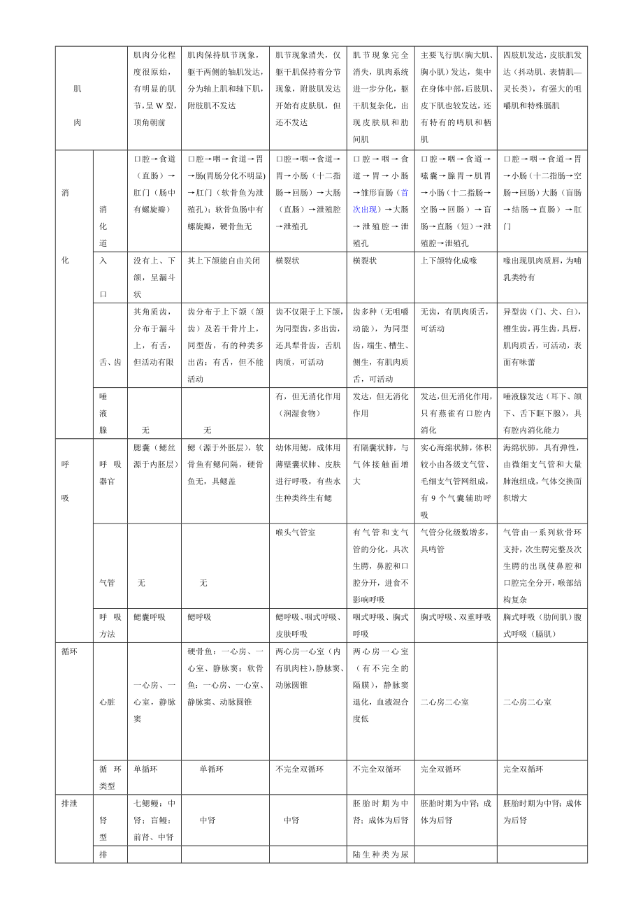 脊椎动物形态比较 ()（DOC） .doc_第2页