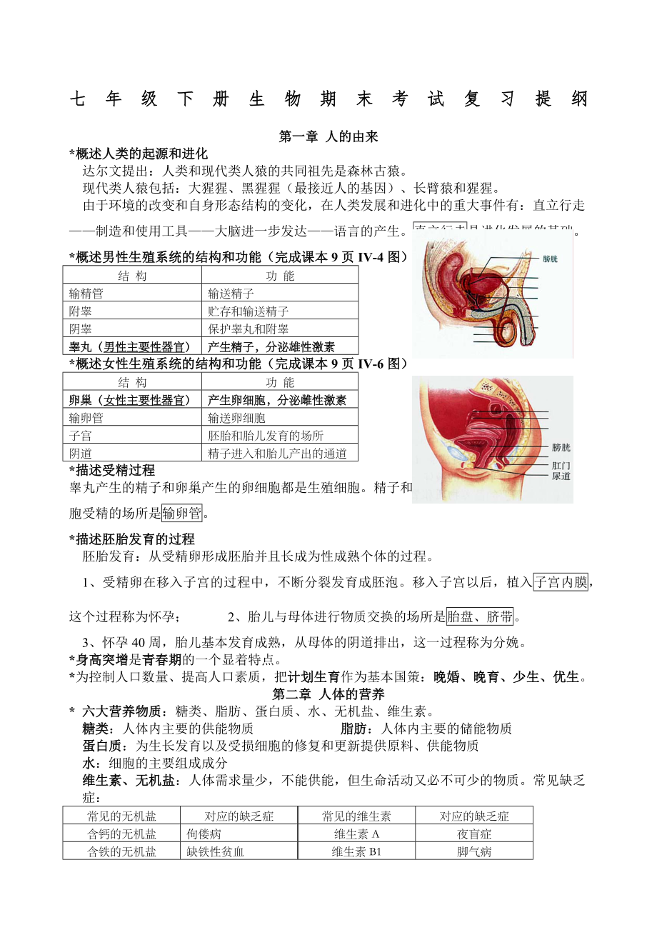 七年级生物下册期末复习提纲.docx_第1页