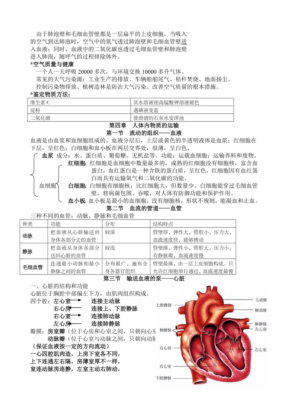 七年级生物下册期末复习提纲.docx_第3页