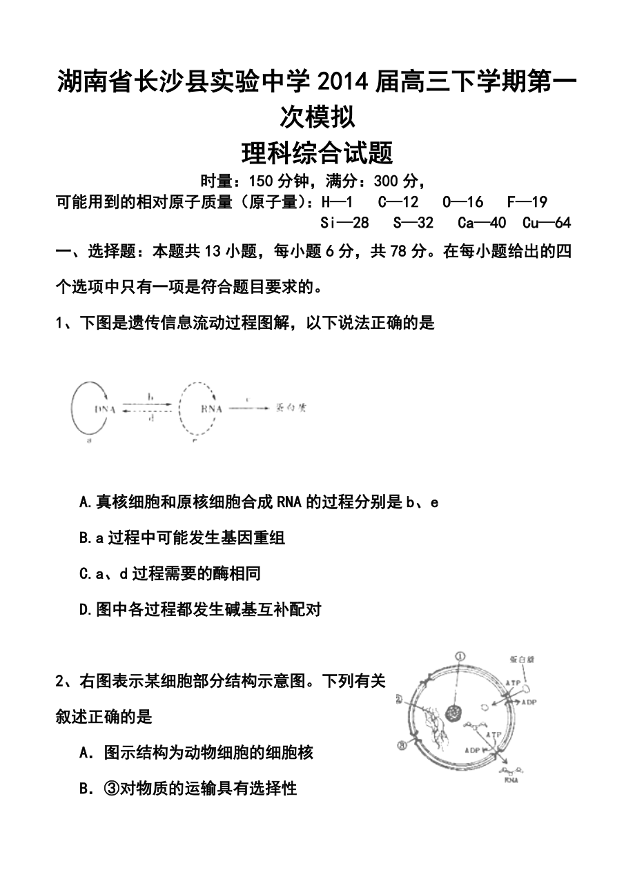 湖南省长沙县实验中学高三下学期第一次模拟理科综合试题及答案.doc_第1页