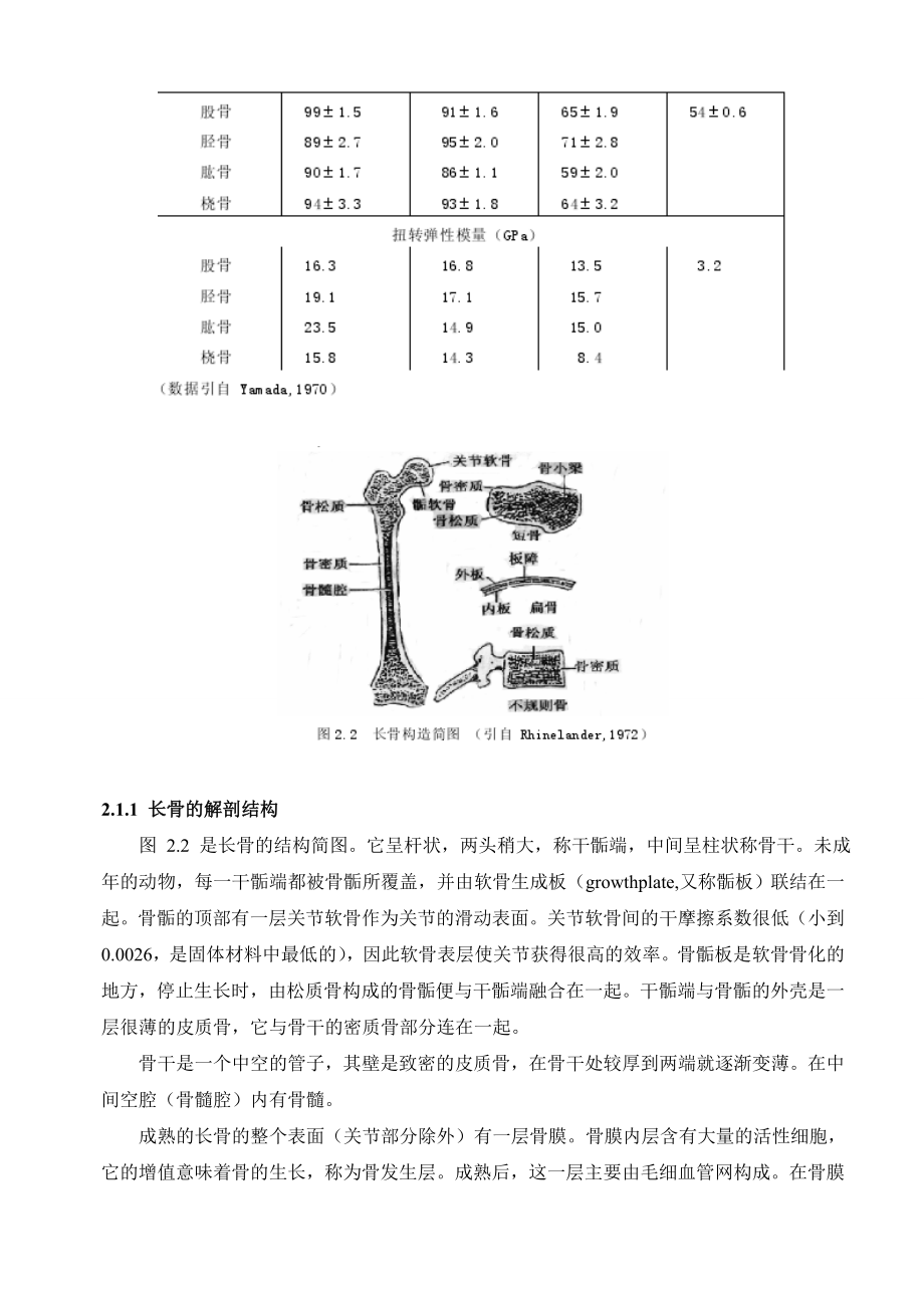 骨的力学性能.doc_第3页