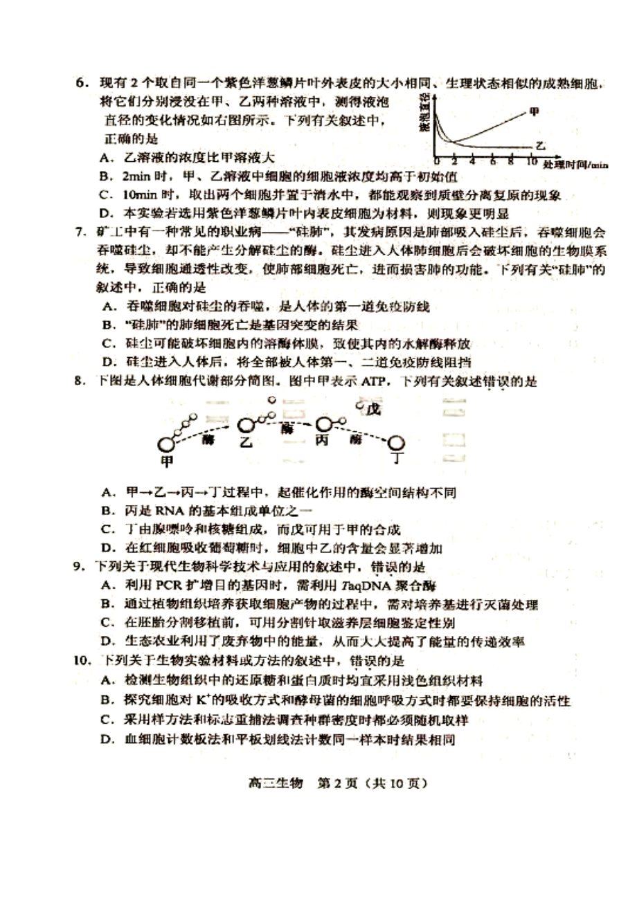 ~苏锡常镇四市高三教学情况调研(一)生物试题及答案.doc_第2页