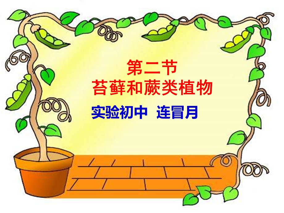 《苔藓和蕨类植物》.ppt_第3页