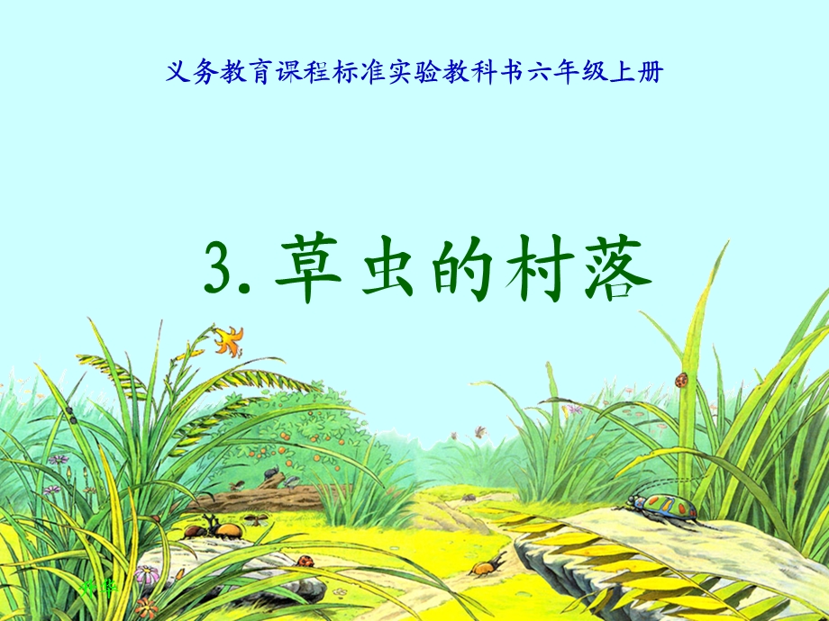 《草虫的村落》课件 (7).ppt_第1页