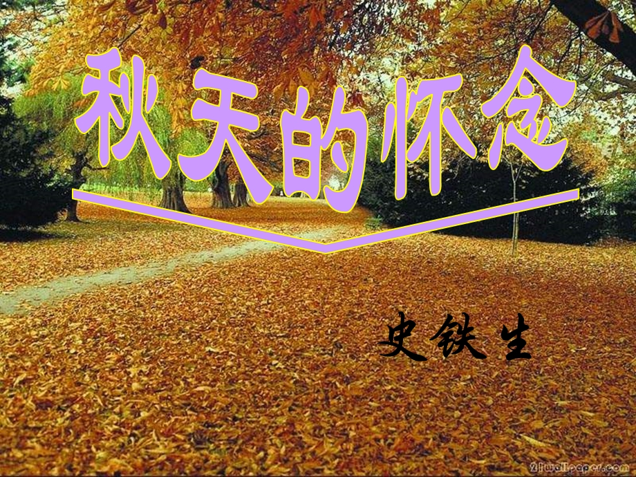 《秋天的怀念》一.ppt_第2页