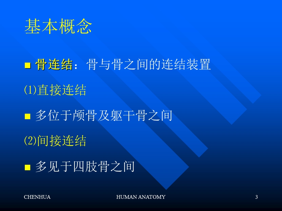 关节学ppt课件.ppt_第3页