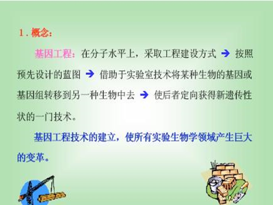 遗传学第十三章基因工程与基因组学.ppt_第3页