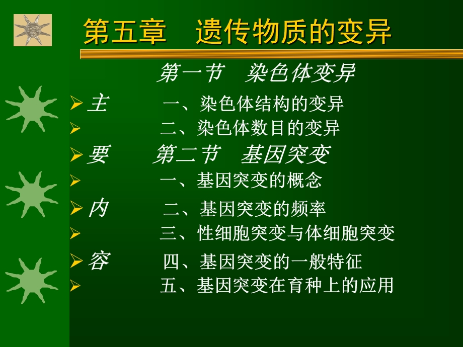 遗传学第5章遗传物质的变异.ppt_第3页