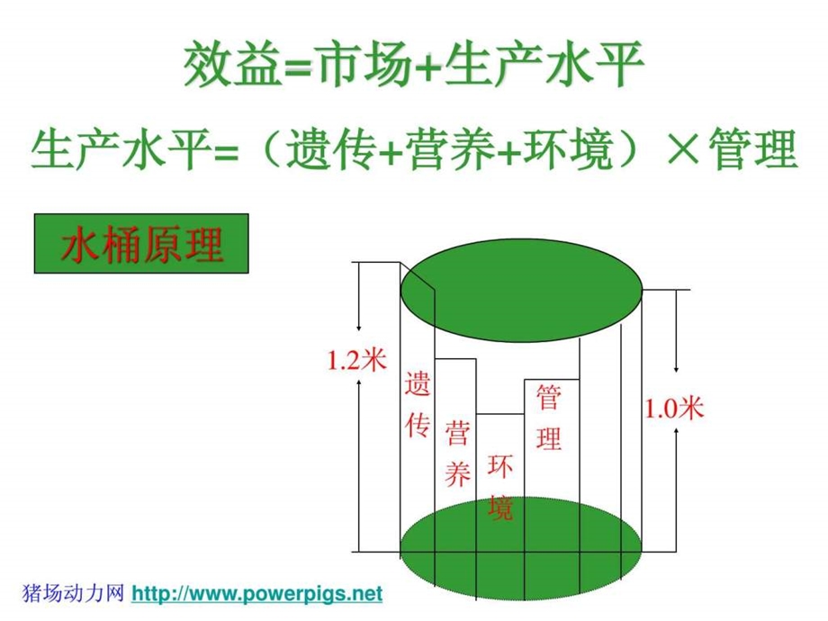 如何提高养猪效益课件.ppt_第2页