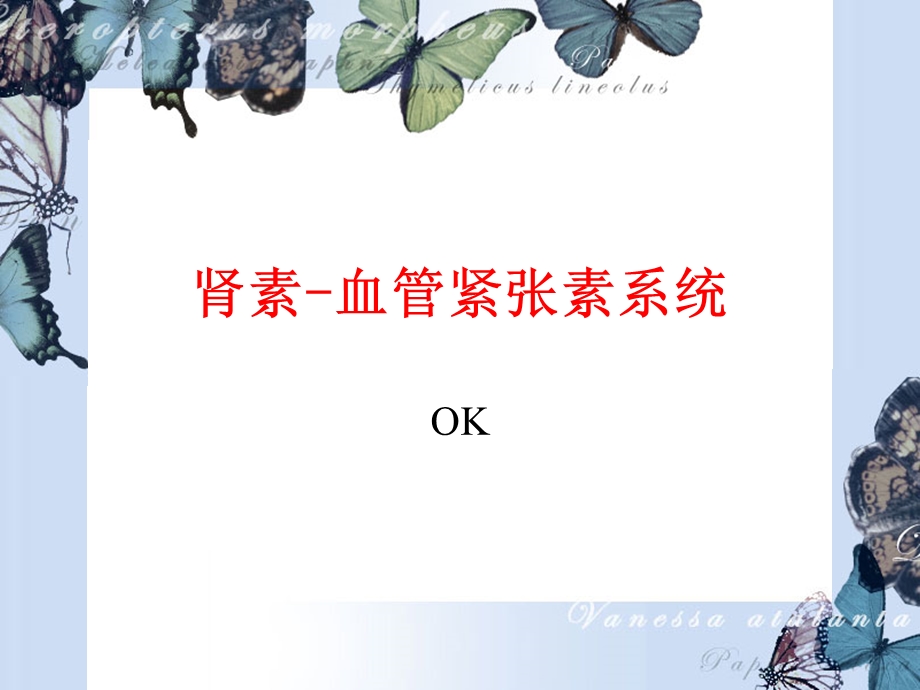 肾素血管紧张素系统ok.ppt_第1页