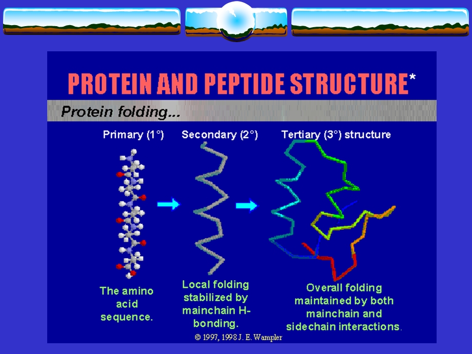 酶蛋白的结构.ppt_第2页
