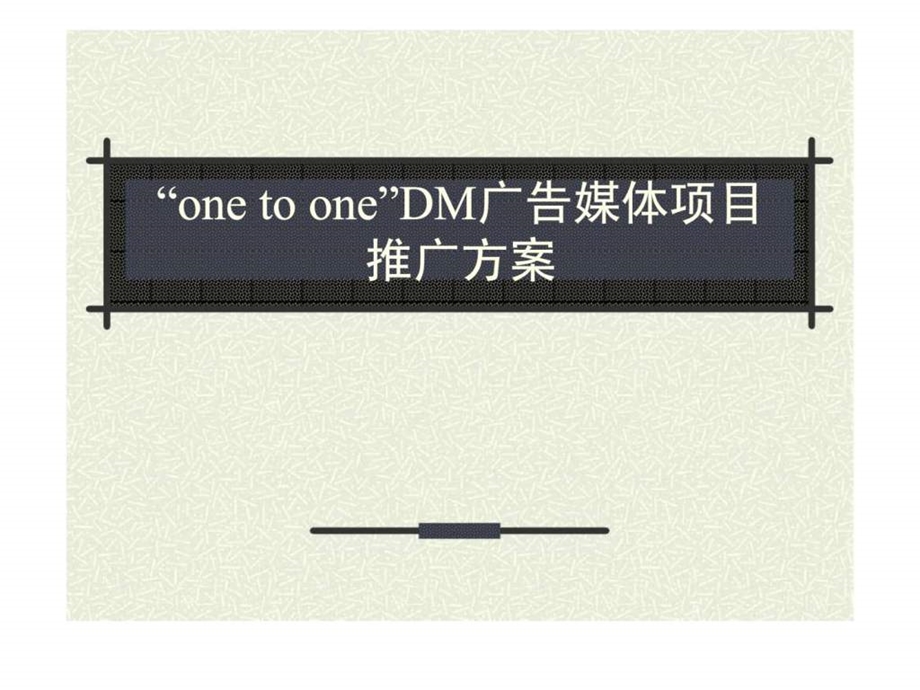 onetooneDM广告媒体项目推广方案.ppt_第1页