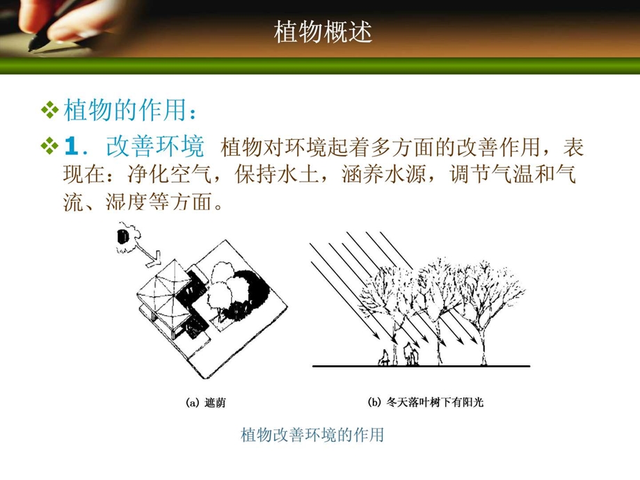 3d园林设计教程5城乡园林规划工程科技专业资料.ppt_第3页