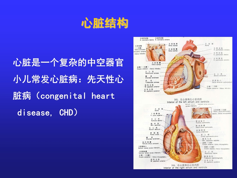 北京国康医院讲述：小儿先天性心脏病.ppt_第3页