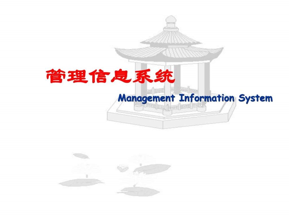 管理信息系统PPT课件.ppt_第1页