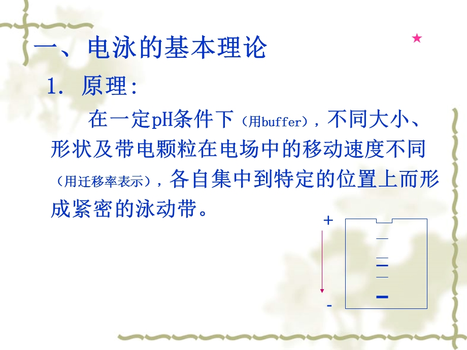 酶的提取与分离纯化280.ppt_第2页