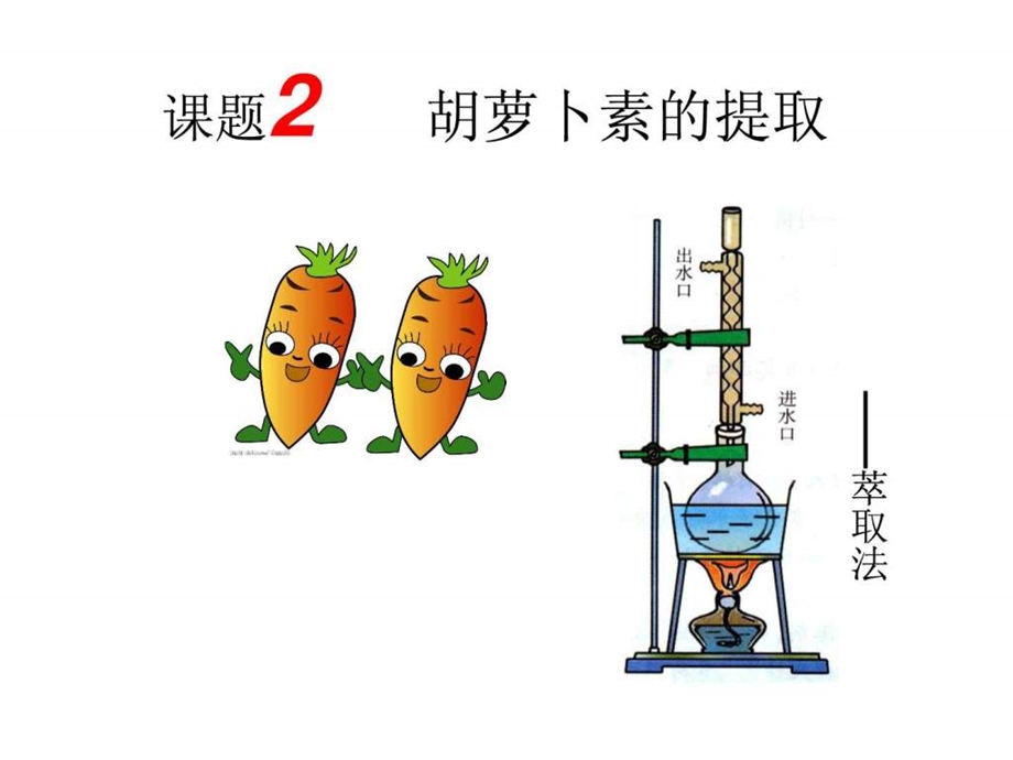 胡萝卜素的提取定稿.ppt.ppt_第1页