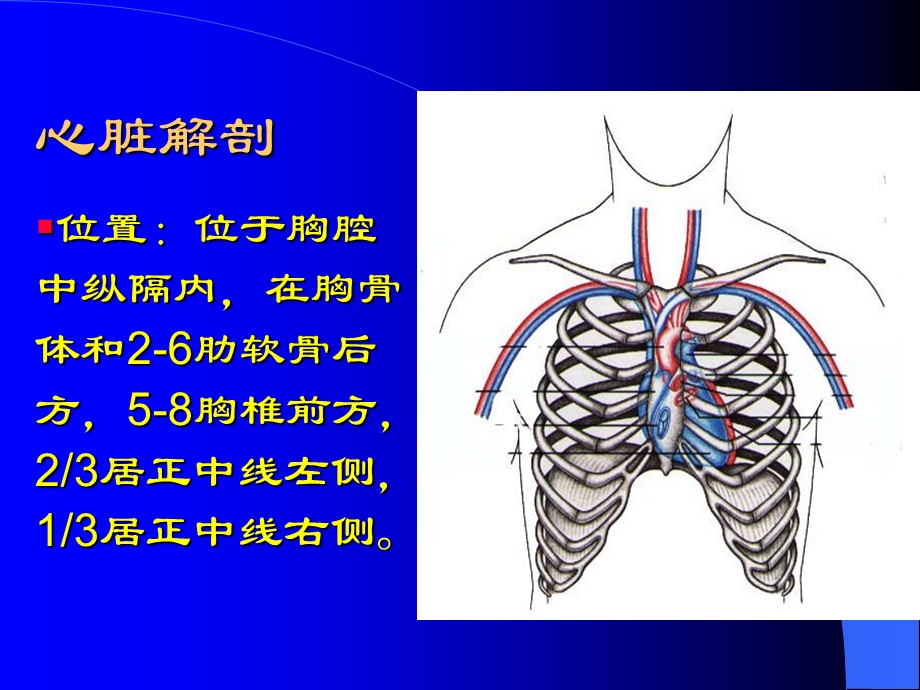 第五节心脏检查03.ppt_第2页