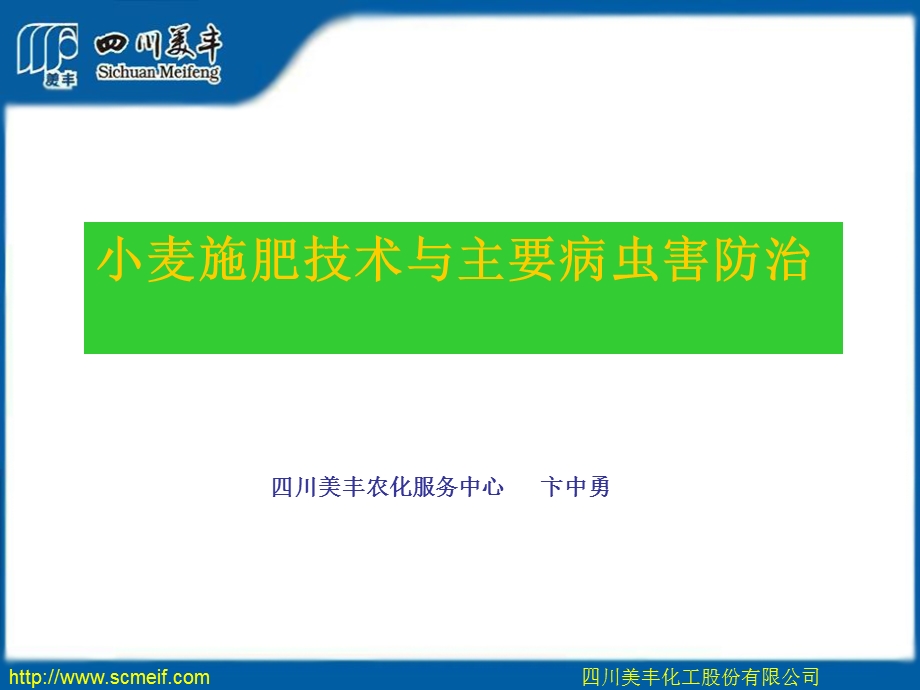 小麦卞中勇.ppt_第1页