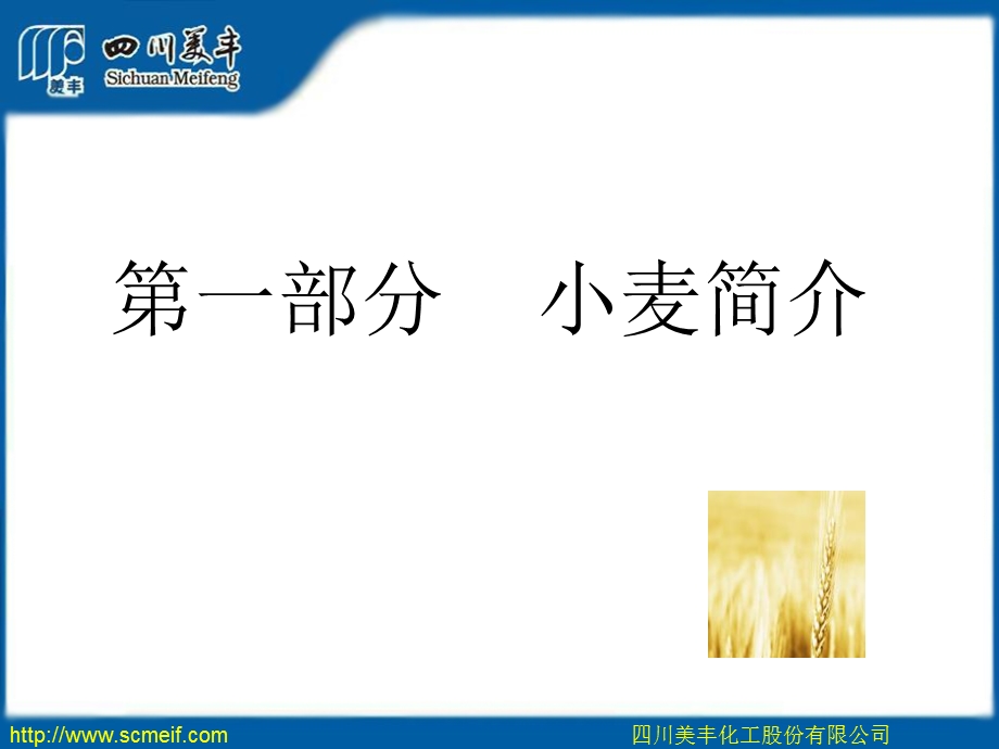 小麦卞中勇.ppt_第3页