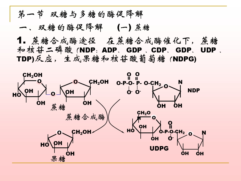 第6章糖代谢1.ppt_第2页