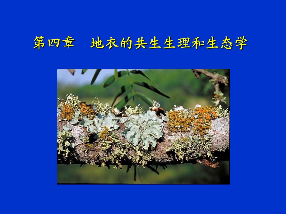 地衣的共生生理和生态学.ppt_第1页