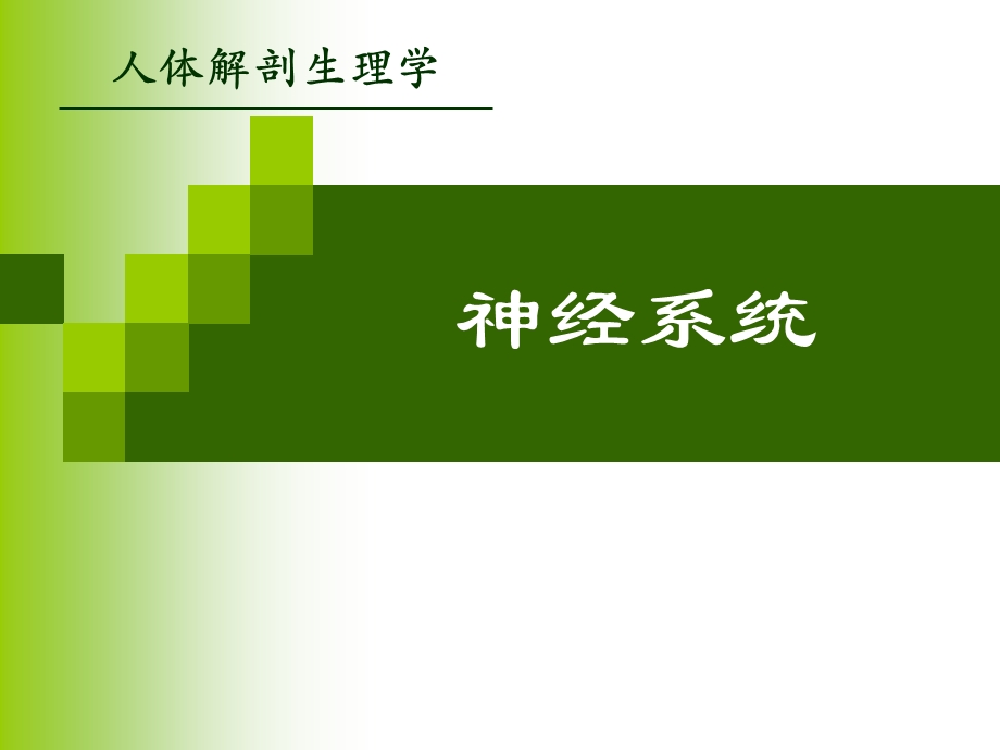 神经系统的活动.ppt_第1页