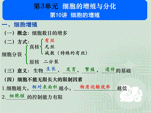 210细胞增殖张韶杰.ppt