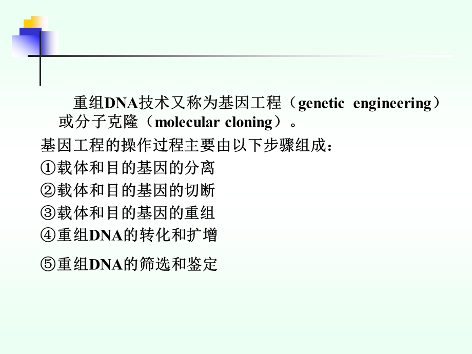 重组DNA技术精简版.ppt_第2页
