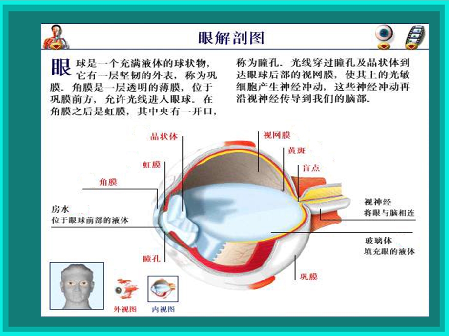 变性的病因及干预1 .ppt_第3页