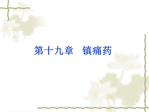 药理学课件10镇痛药.ppt