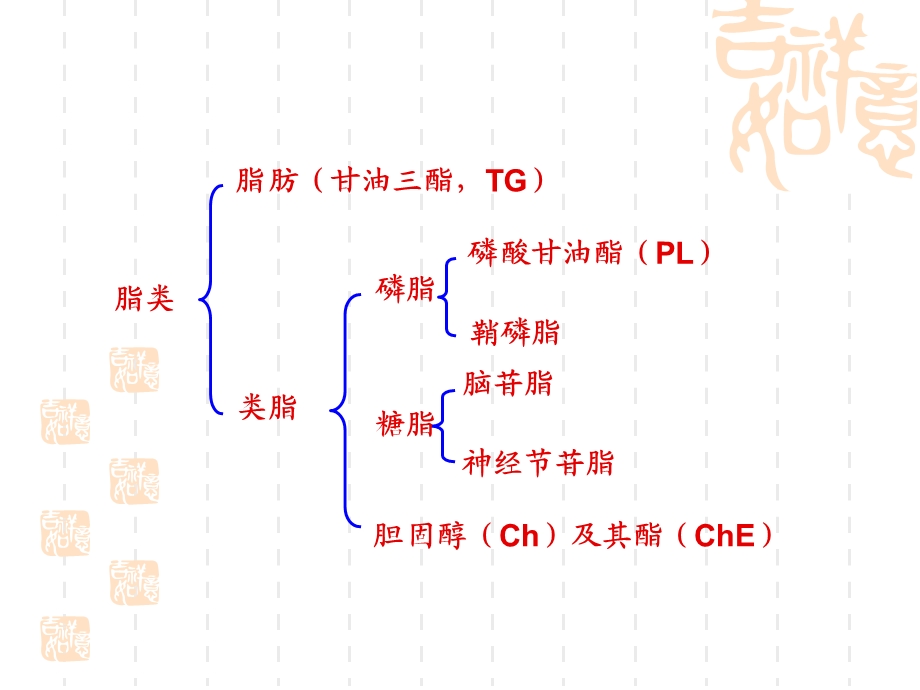 第八章脂类代谢.ppt_第3页