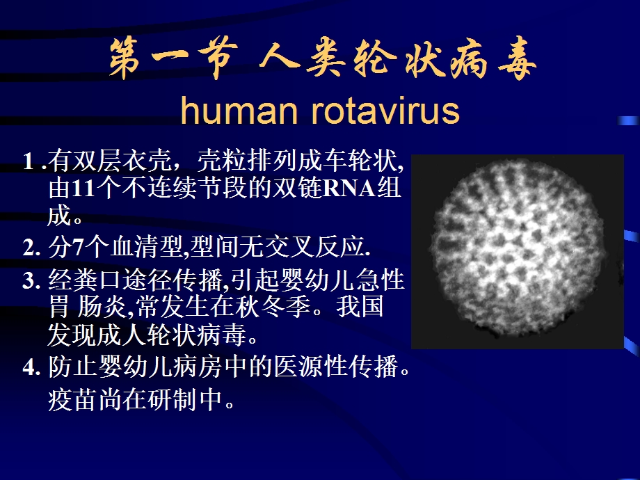 二十六章急胃肠炎病毒.ppt_第2页