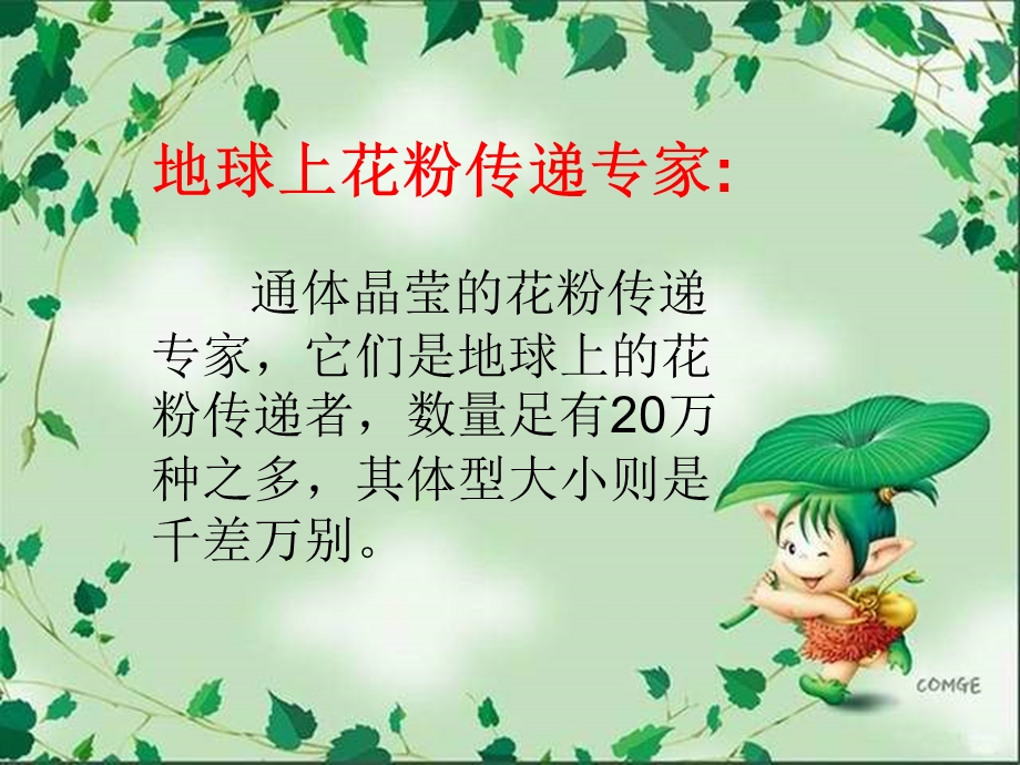 地球上花粉传递专家ppt课件.ppt_第1页