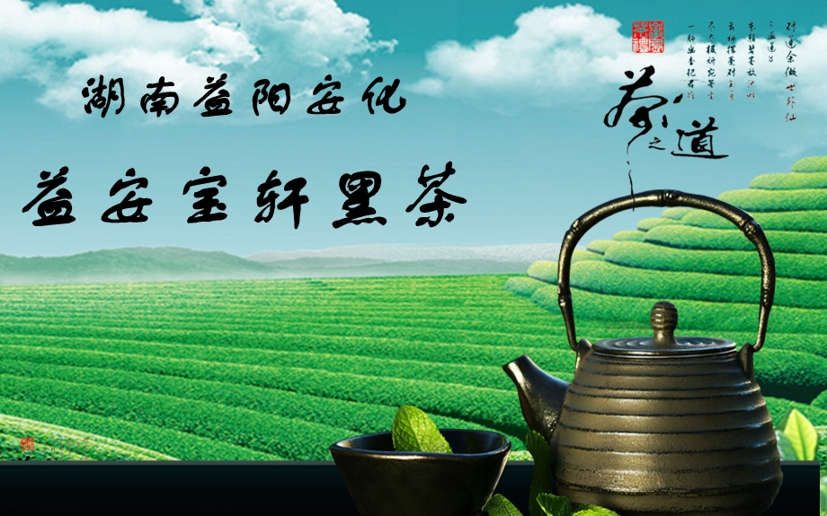 益阳安化黑茶资料.ppt_第1页