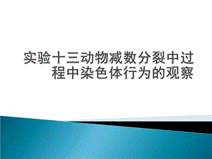 实验十三动物细胞减数分裂过程中染色体行为的观察.ppt