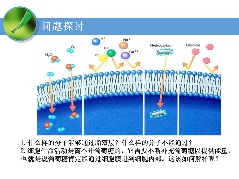 五个一-物质跨膜运输的方式-lhw.ppt_第2页