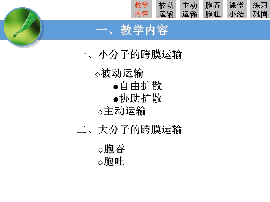 五个一-物质跨膜运输的方式-lhw.ppt_第3页