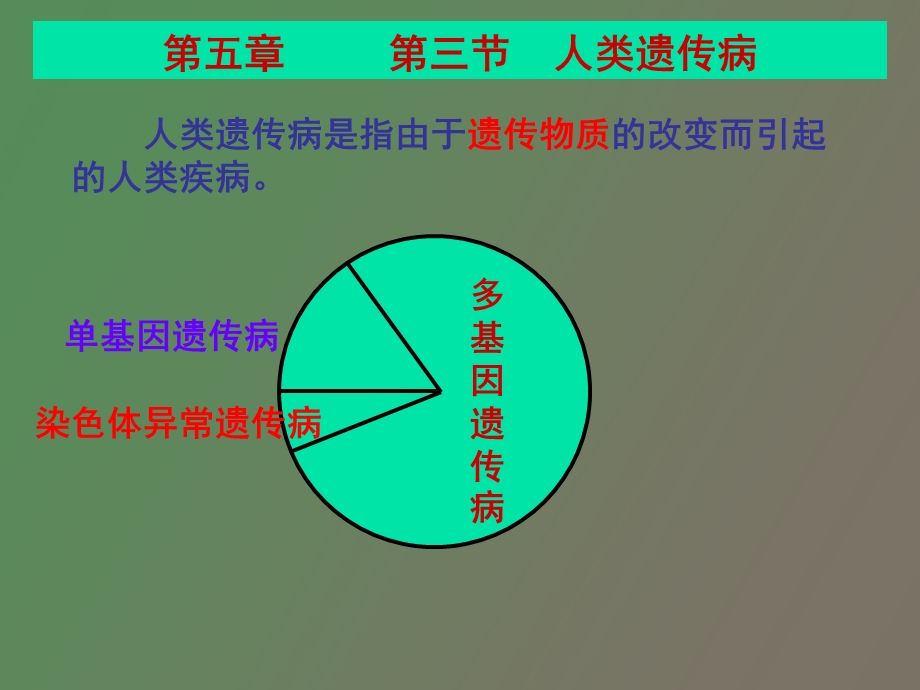 人类遗传病文科.ppt_第2页