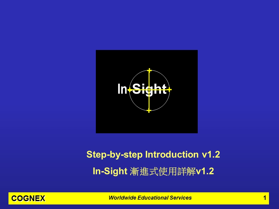 中文-In-Sight-使用详解-(全).ppt_第1页