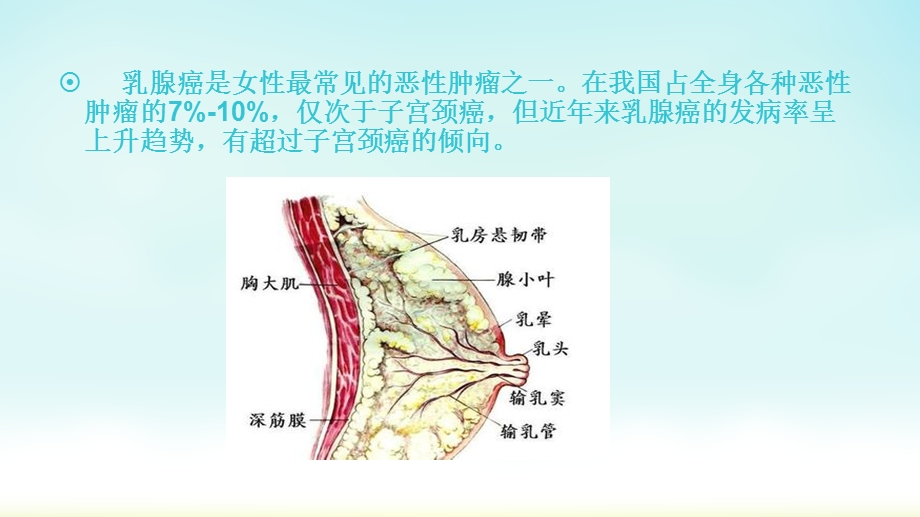 乳腺癌的病因和发病机制.ppt_第2页