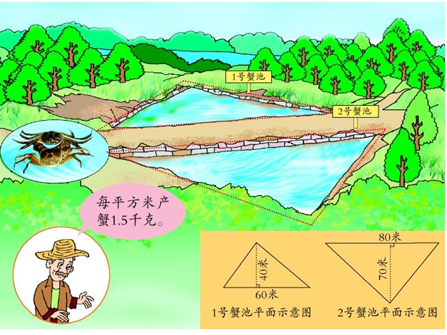 两个面积相等的三角形一定能拼成一个平行四边形.ppt_第1页