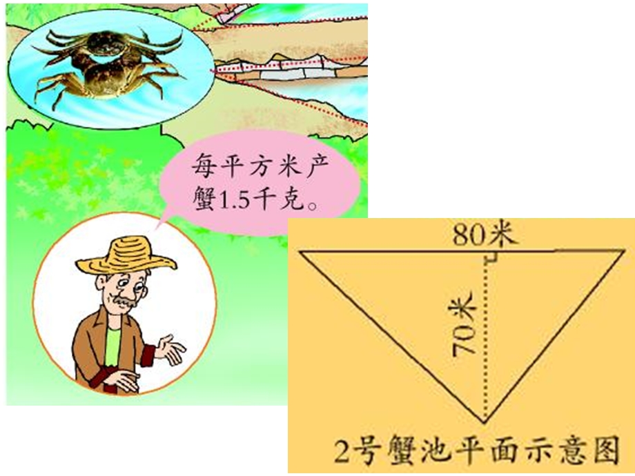 两个面积相等的三角形一定能拼成一个平行四边形.ppt_第3页