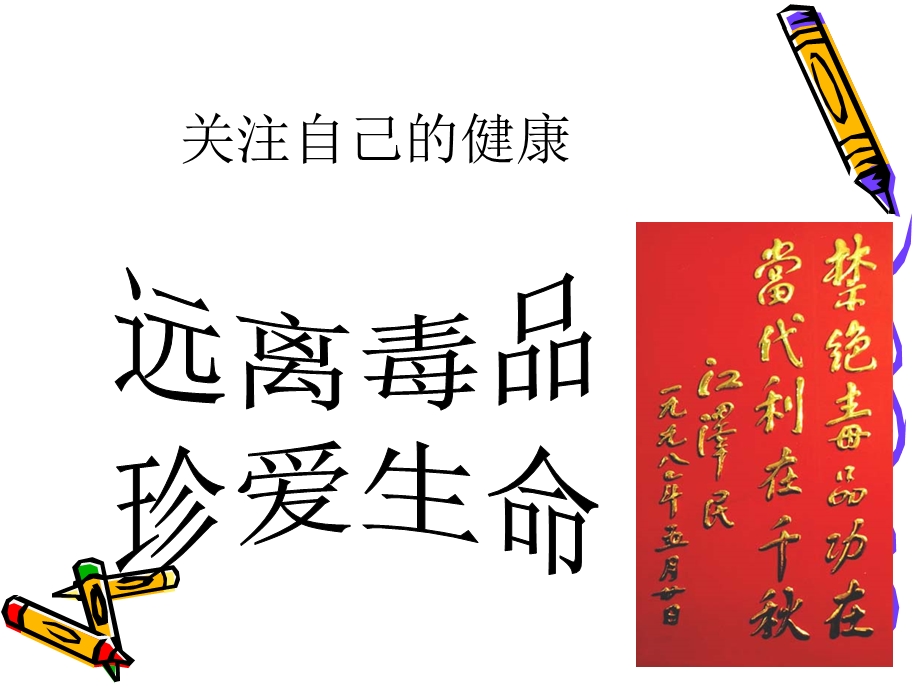 主题班会《远离毒品珍爱生命》PPT课件之二.ppt_第2页