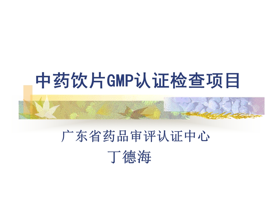 中药饮片GMP认证检查项目-丁德海.ppt_第1页